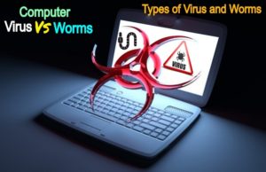 Computer Viruses vs Network Worms