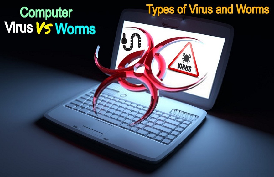 network worm virus download