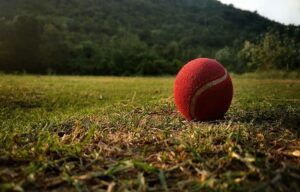fantasy cricket