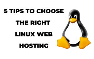 Linux Shared Hosting